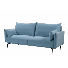 Blue Simple Double Sofa